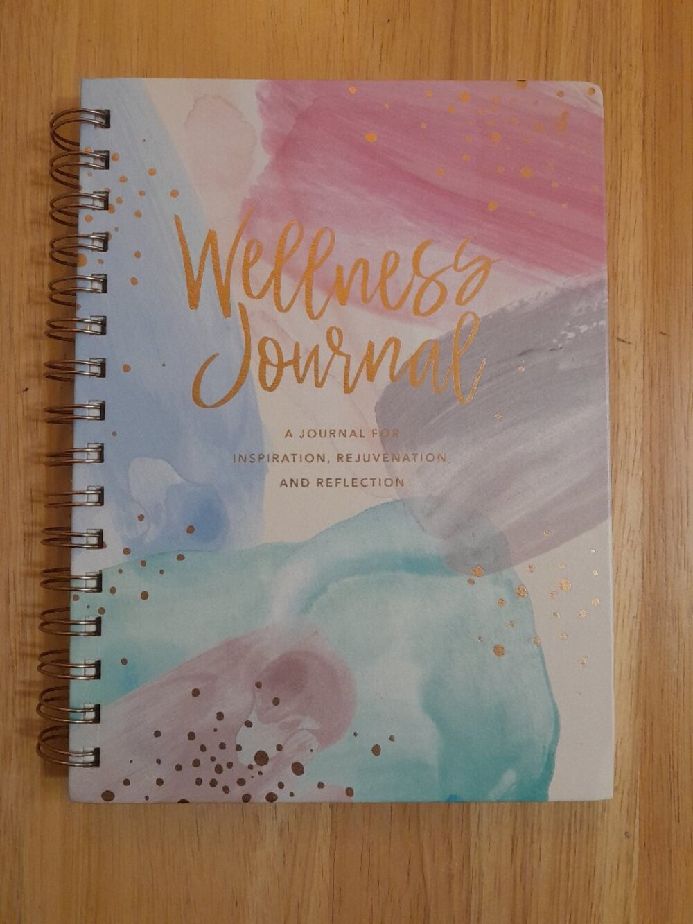 Wellness Journal by Clementine Paper Inc